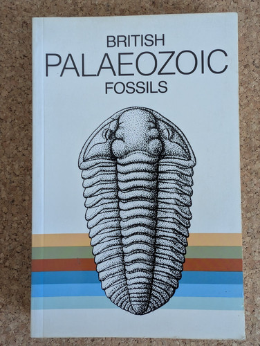 British palaeozoic fossils - british,