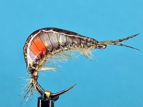 Mighty gammarus realistic - mighty,