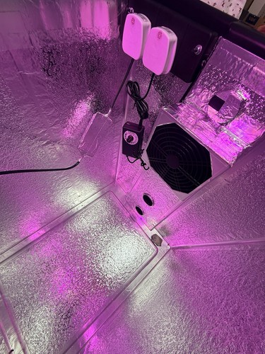 Indoor grow box - grow, stealth