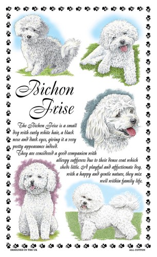 Bichon frise dog tea towel - frise,
