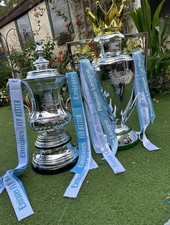 Full Size FA cup  Resin Made