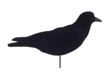 FLocked Crow Shell Decoy