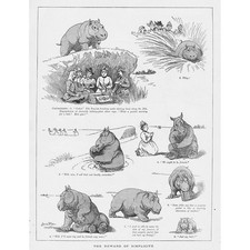 LOUIS WAIN The Reward of