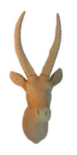 Wall Art Hanging Antillope resin Head. 70cm High