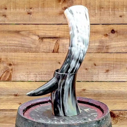 Genuine viking drinking - viking, ox