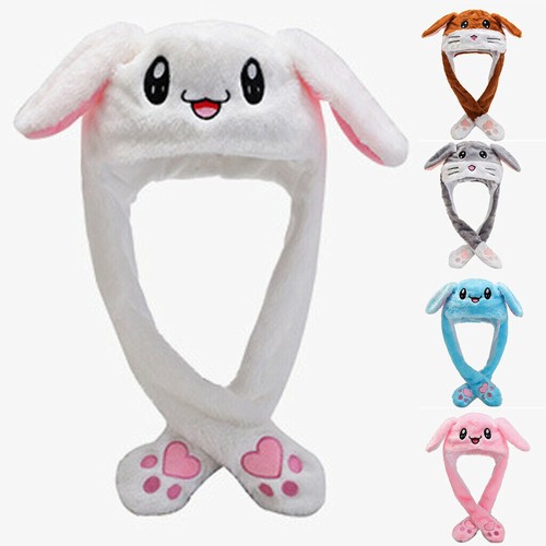 Funny rabbit bunny - bunny, moving