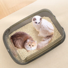 Extra Large Open Cat Litter