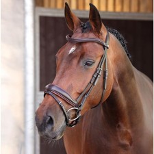 Shires Velociti LUSSO Elite