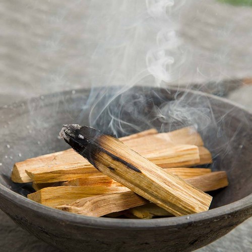 Palo santo sticks wild - sticks,