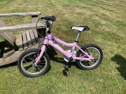 Ridgeback honey junior kids - ridgeback,