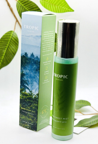 New tropic rainforest - tropic, mist