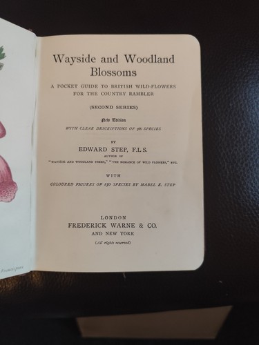 Wayside and woodland blossoms - wayside,
