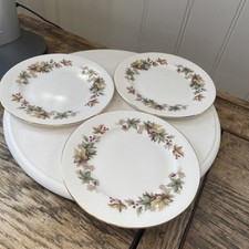 Royal Standard Bone China Lyndale Pattern x3  Side Plates 16cm