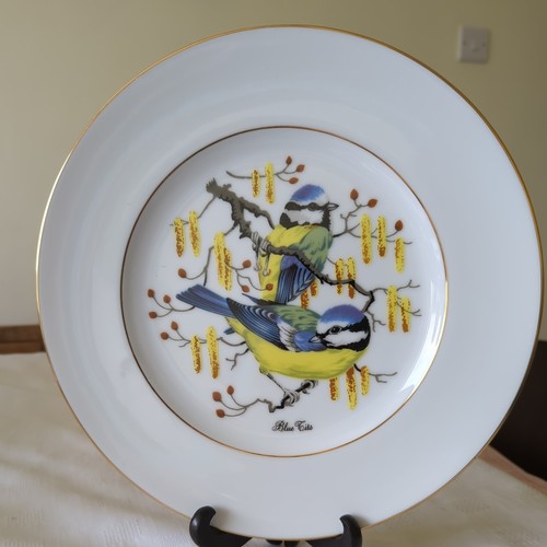 Royal burlington plate - burlington",
