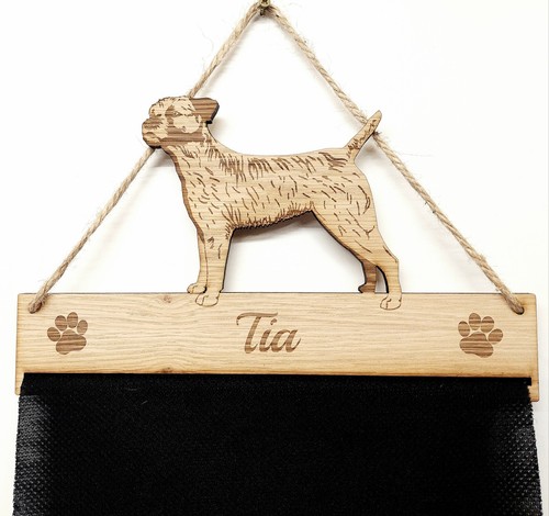 Border terrier rosette - terrier,