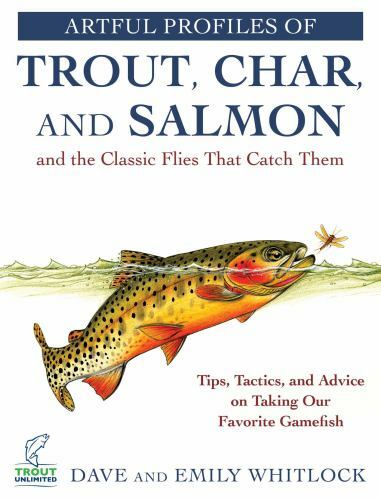 Artful profiles trout - profiles, of