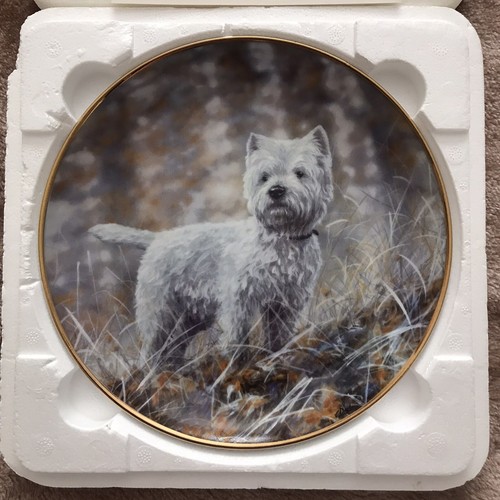 Danbury mint westies - in, the