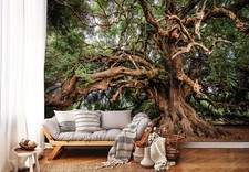 Wallpaper Old majestic giant