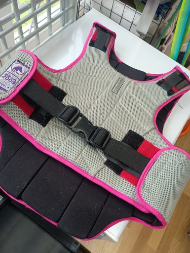 Adult size horse - 10/12, riding