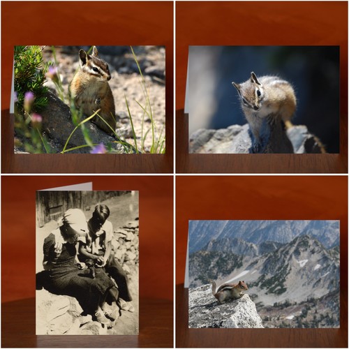 Chipmunk themed greeting - chipmunk,