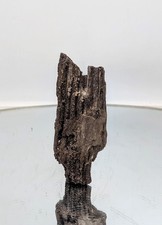 Fossil Wood Quartz Crystal