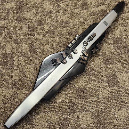 Roland aerophone pro - ae-30,