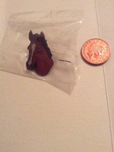 Brown pony horse head - horse, riding