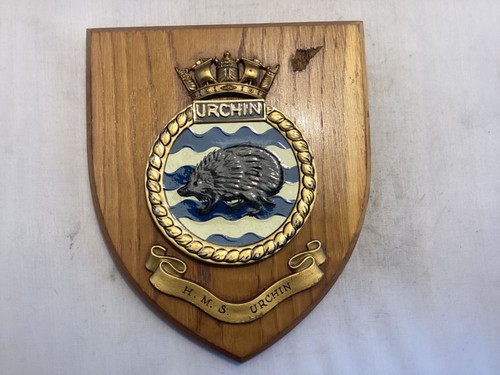 Urchin wall plaque - ,