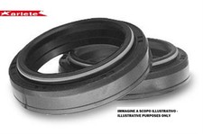 Aprilia RSV 1000 Mille ME FORK