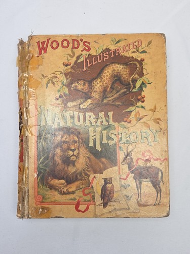 Wood illustrated natural - wood's,
