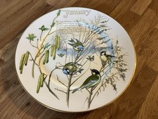 January Plate Edith Holden