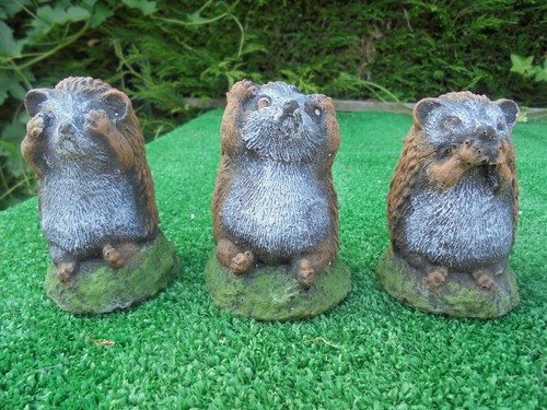Three wise little hedgehogs - three,