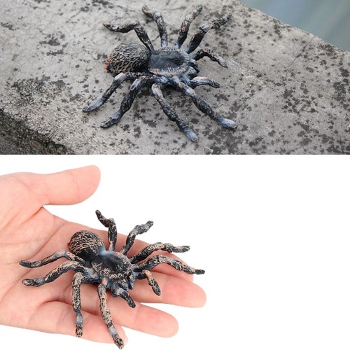 Realistic plastic spider fake - realistic,