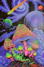 COSMIC SHROOM BY SPACE TRIBE -