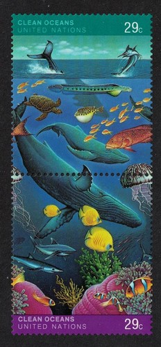 Whales fish marine life - marine, clean