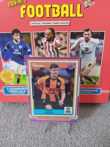 Panini efl adam - senior,