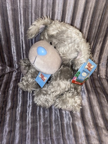 Tatty puppy blue nose - tatty,