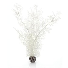 OASE BIORB SEA FAN LARGE WHITE