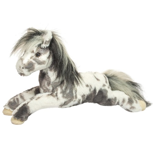 Douglas starsky appaloosa - starsky,