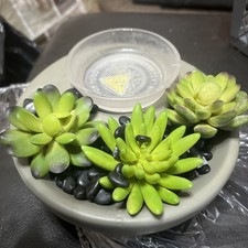 Scentsy LITTLE GARDEN Element Wax Warmer with faux Succulents & rocks - Retired