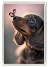DACHSHUND BUTTERFLY BEAUTIFUL