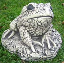 Large Toad Garden Ornament