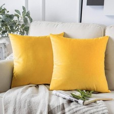 Set of 2 Velvet Cushion