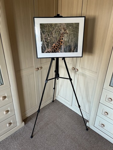 Portable folding easel for - portable,