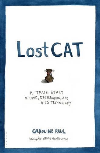 Lost cat true story - lost, cat: