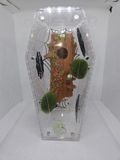 Jumping Spider Enclosure With Decor With Magnets