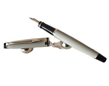Exceptional Pen Fountain Pen