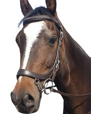 Equine Balance Performance