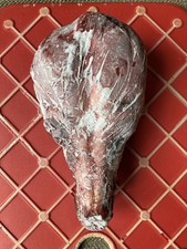 Coyote Skull Frozen Unfleshed