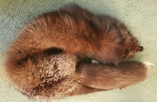 VINTAGE NATURAL GENUINE FOX